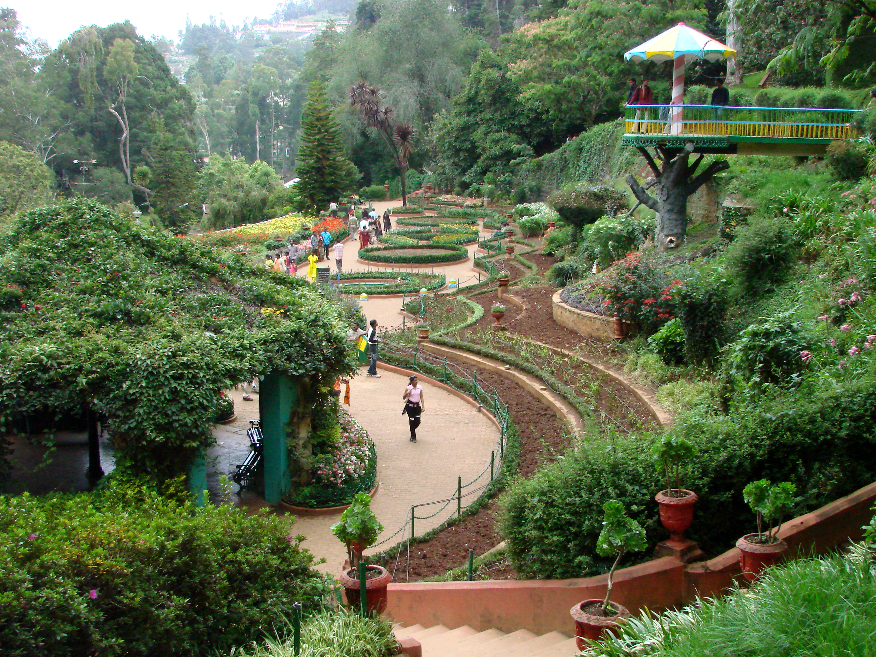 Mysore Palace & Ooty Hills